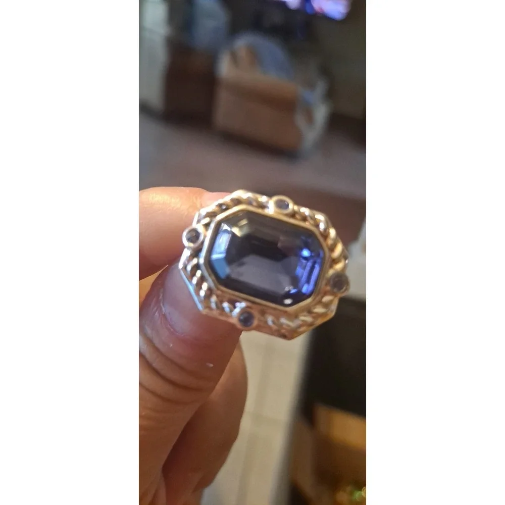 Purple/blue Stone With Silver Backing Clip On Earrings